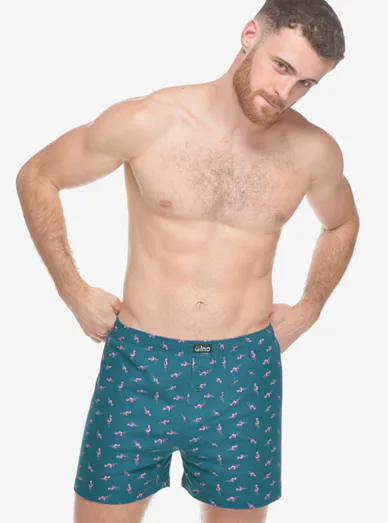 Gina pánské bavlněné trenýrky se vzorem - Petrolejová