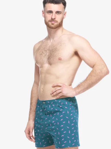 Gina pánské bavlněné trenýrky se vzorem - Petrolejová